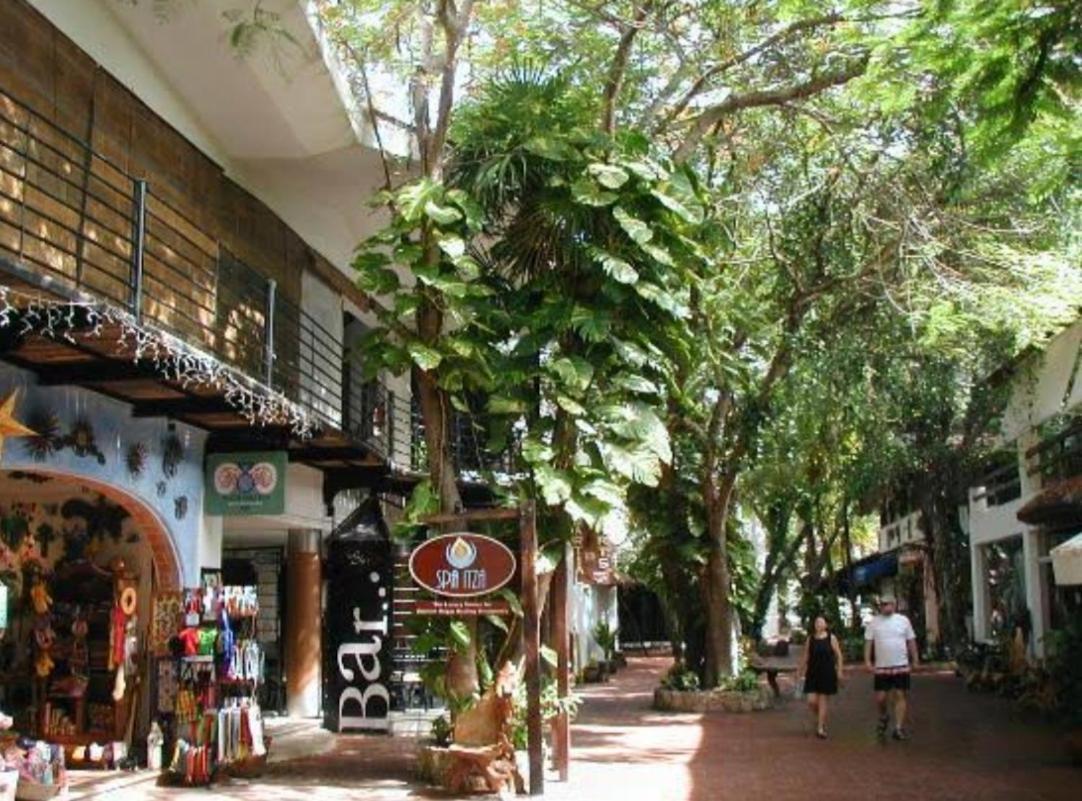 Apartamento Caribbean Oasis Playa del Carmen