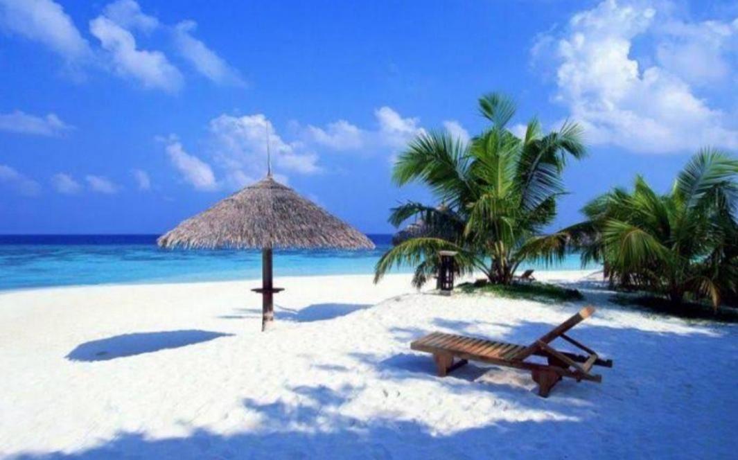 Apartamento Caribbean Oasis Playa del Carmen